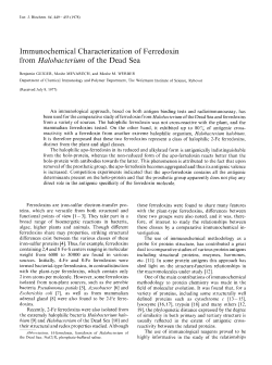 Immunochemical Characterization of Ferredoxin from Halobacterium