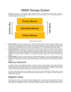 DBMS Storage System