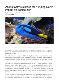 Animal activists brace for "Finding Dory" impact on tropical fish