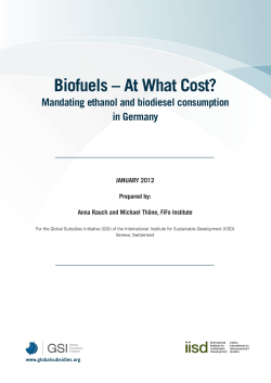 Mandating ethanol and biodiesel consumption in Germany