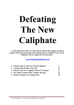 Defeating The New Caliphate