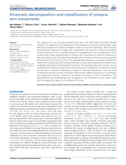 Kinematic decomposition and classification of octopus arm movements