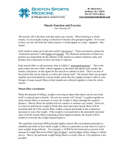 to PDF - Boston Sports Medicine