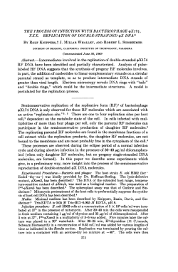 postulated for the replication process. Semiconservative replication