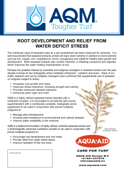 ROOT DEVELOPMENT AND RELIEF FROM WATER DEFICIT