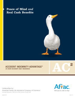 AFLAC Accident Indemnity Advantage Plan