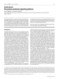 Ras plasma membrane signalling platforms