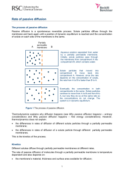 Rate of passive diffusion