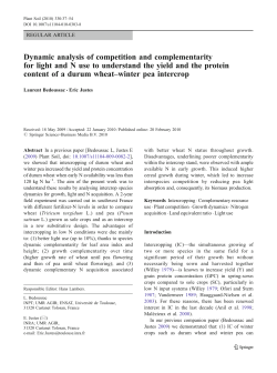 Dynamic analysis of competition and complementarity for light and N