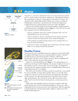 eText 2.13 Protists