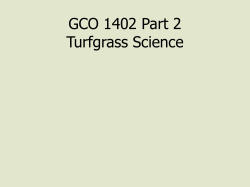 GCO 1402 Part 2