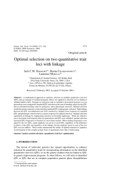 Optimal selection on two quantitative trait loci with