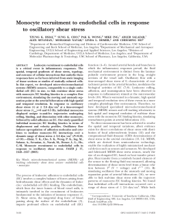 Monocyte recruitment to endothelial cells in response to oscillatory