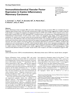 Immunohistochemical Vascular Factor Expression in Canine