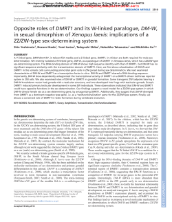 Opposite roles of DMRT1 and its W-linked paralogue, DM