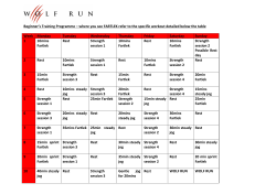 Beginner`s Training Programme &ndash; where you see