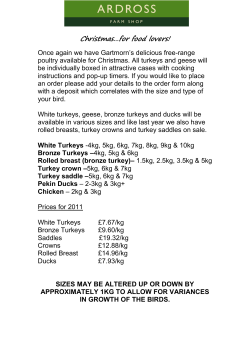 Christmas…for food lovers!