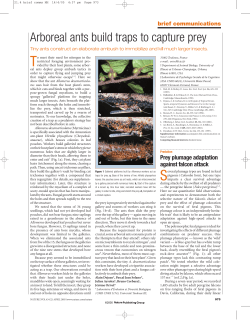 Article Link