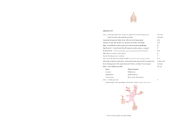 Menu - The Palace Tea Room