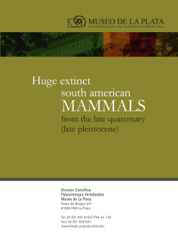 mammals - Museo de La Plata