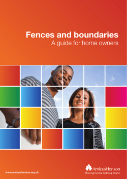 Fences and boundaries
