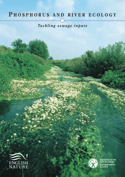 Phosphorus and river ecology