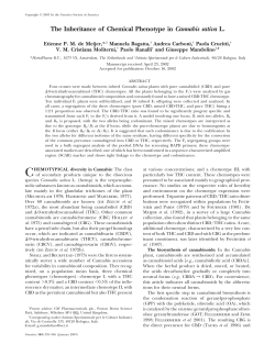 The Inheritance of Chemical Phenotype in Cannabis sativa L.