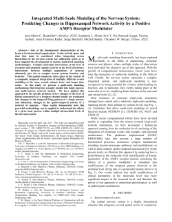 Integrated Multi-Scale Modeling of the Nervous