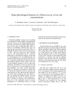 Some physiological features of a Halococcus sp. at low salt