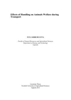 Effects of Handling on Animals Welfare during Transport