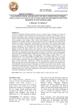 meleagris gallopavo silvestris vieillot