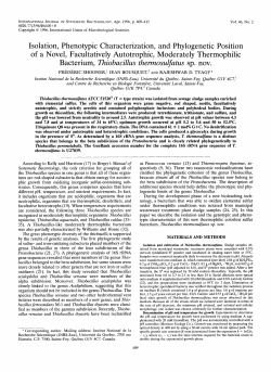 Isolation, Phenotypic Characterization, and Phylogenetic Position of