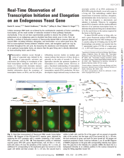 Real-Time Observation of Transcription Initiation and Elongation on