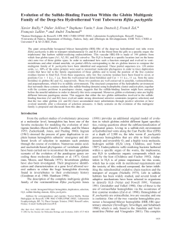 Evolution of the Sulfide-Binding Function Within the Globin