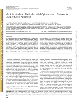 Multiple Kinetics of Mitochondrial Cytochrome c Release in Drug