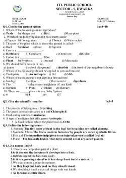 Answer Key Summative Assessment