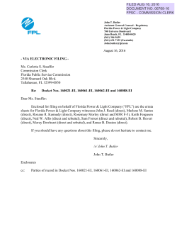 errata sheet - Florida Public Service Commission
