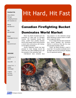 Bambi Bucket Backgrounder