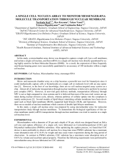 A SINGLE CELL NUCLEUS ARRAY TO MONITOR MESSENGER