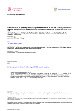 NMR structure of cysteinyl-phosphorylated enzyme IIB of the