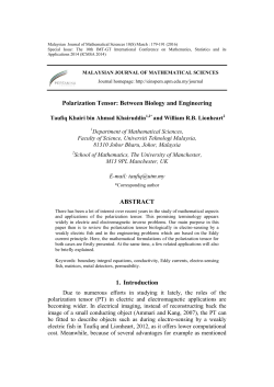 15_ID 183 - Institute for Mathematical Research