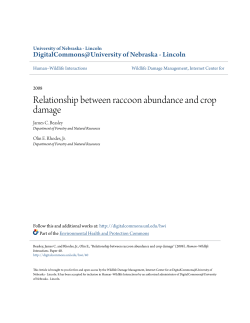 Relationship between raccoon abundance and crop damage