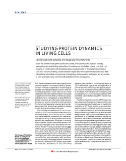 STUDYING PROTEIN DYNAMICS IN LIVING CELLS