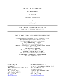 NHCADSV Amicus Brief - New Hampshire Coalition Against