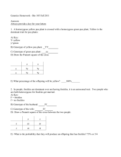 Genetics Homework - Napa Valley College