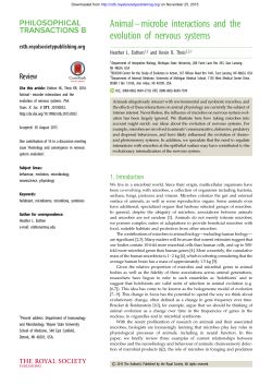 Animal&ndash;microbe interactions and the evolution of nervous systems