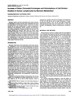 Increase of Sister Chromatid Exchanges and