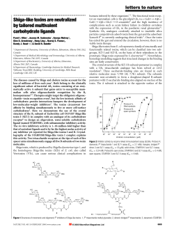 Shiga-like toxins are neutralized by tailored multivalent