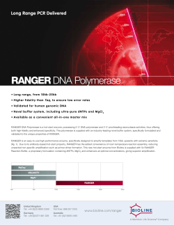 RANGER DNA Polymerase
