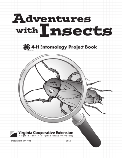 Adventures with Insects, 4-H Entomology Project
